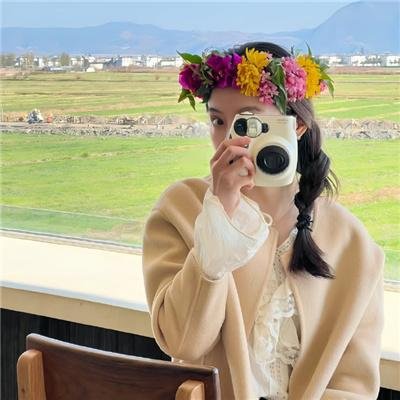 梅花档案
